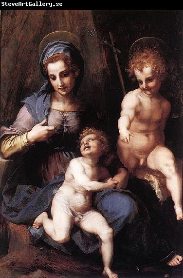 Andrea del Sarto Johannes